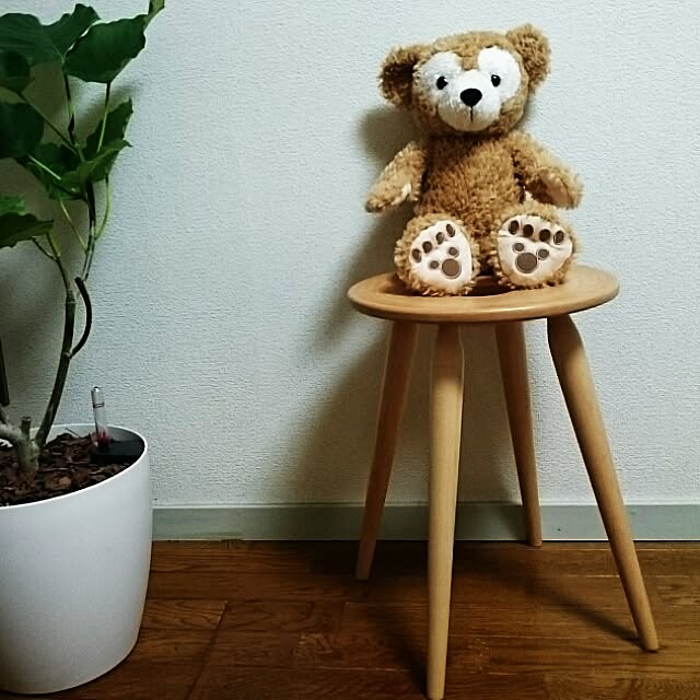 lay498さんの実例写真