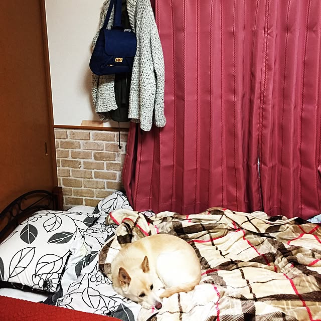 raaさんの実例写真