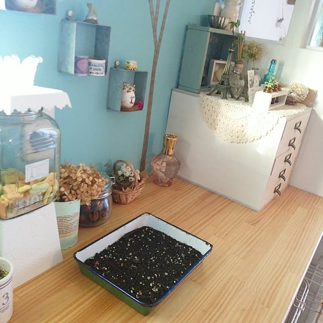 ChocolateNandasさんの実例写真