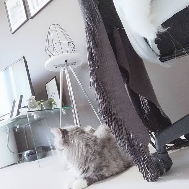BEroomさんの実例写真