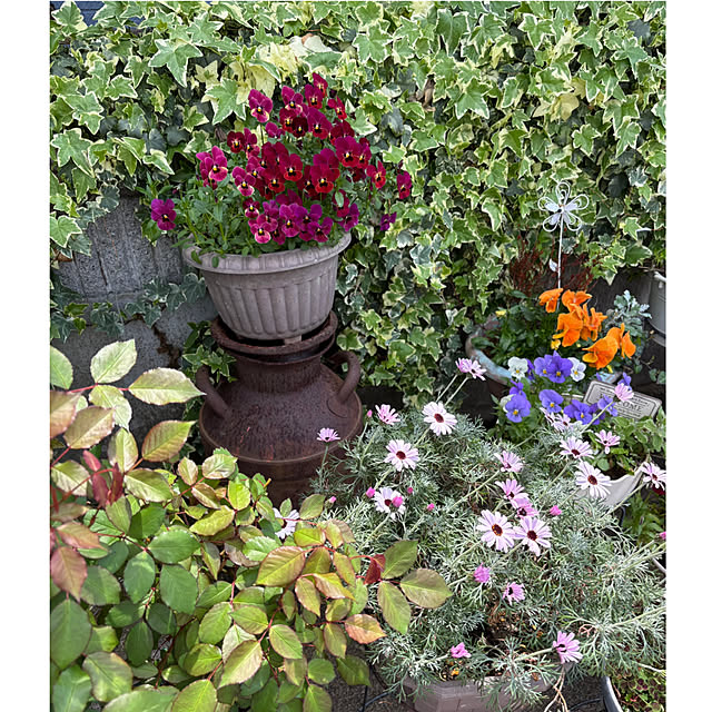 CoCo0617さんの実例写真