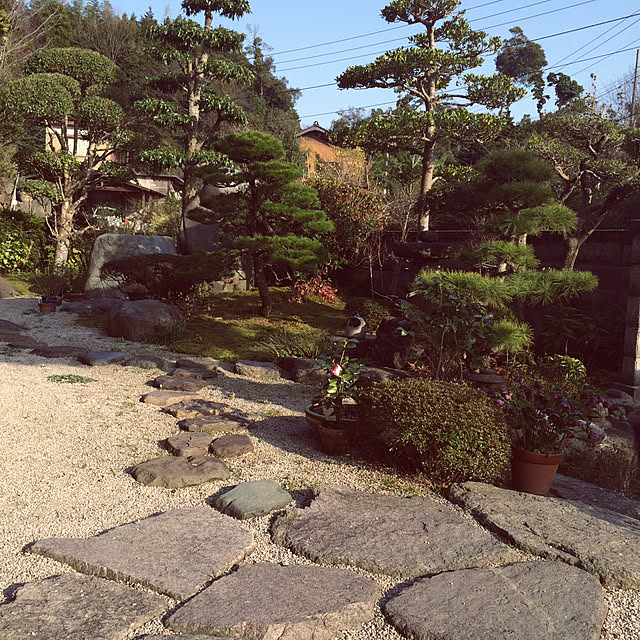 実例写真