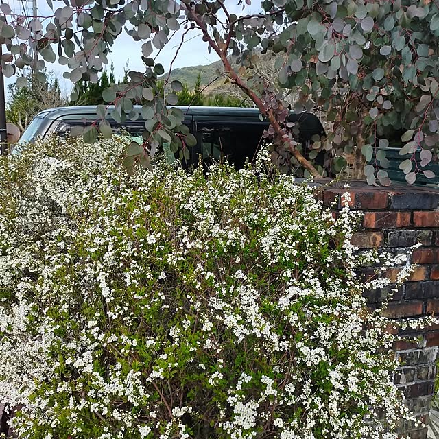 michiさんの部屋