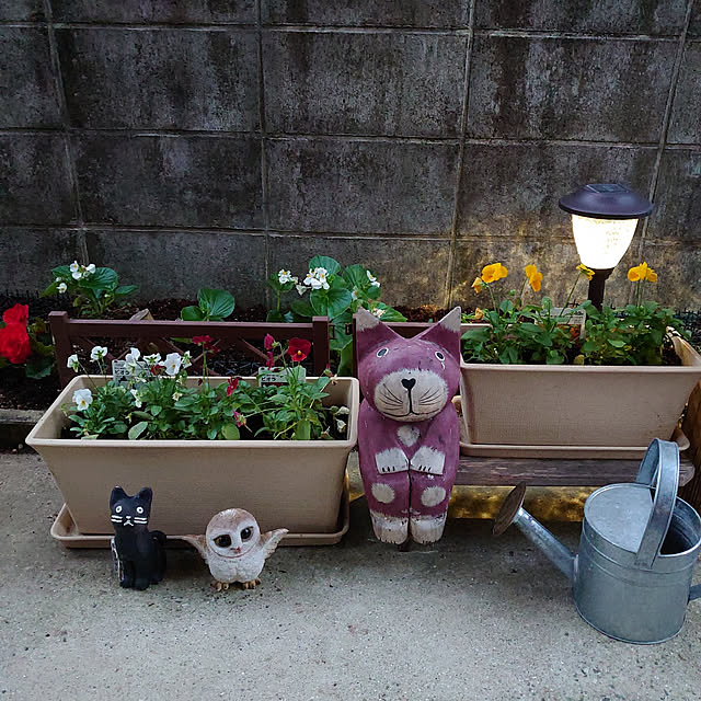 fukuさんの実例写真