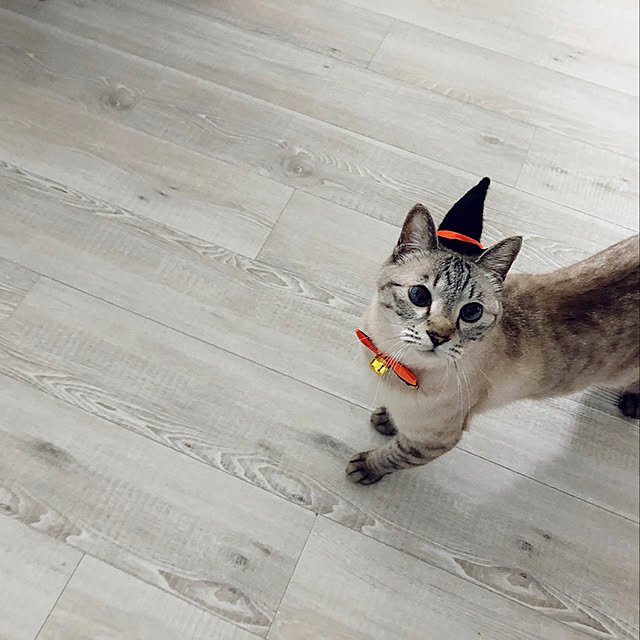 mieさんの実例写真