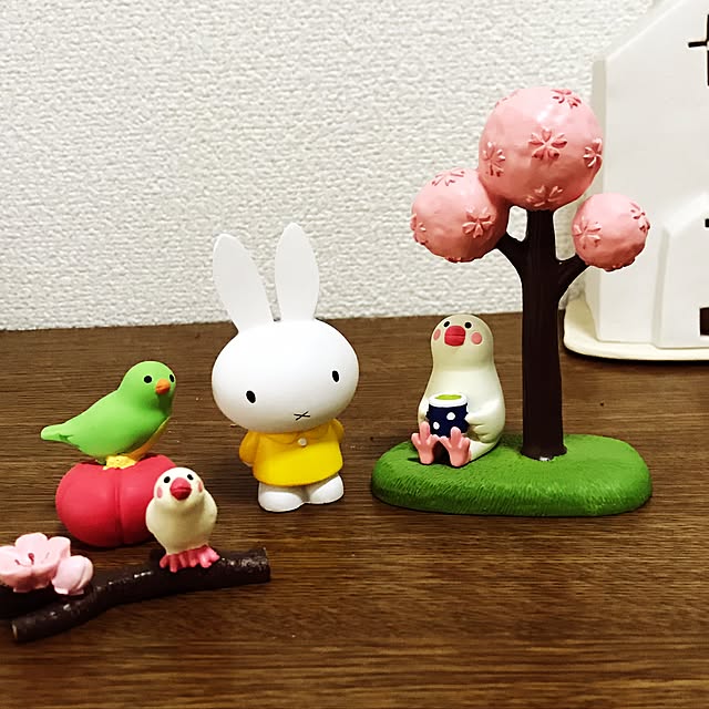 hana39soraさんの実例写真