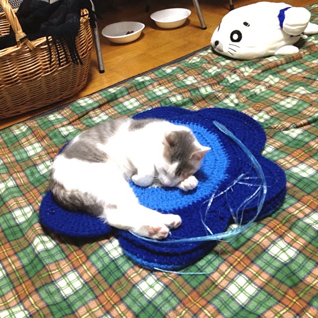 実例写真