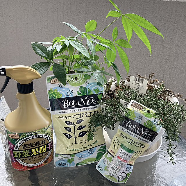 Misaさんの実例写真
