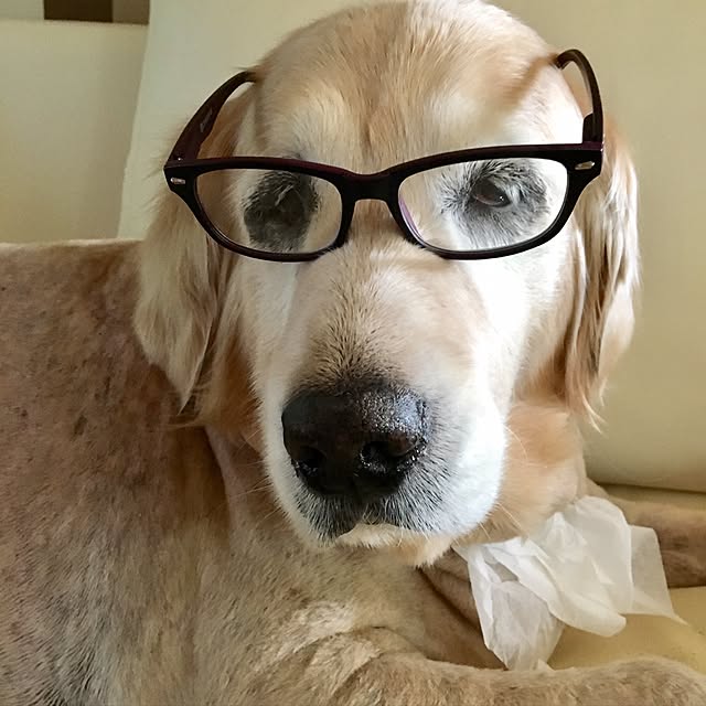 Poaluさんの実例写真