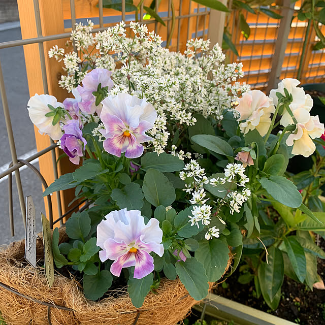 shiotanさんの実例写真