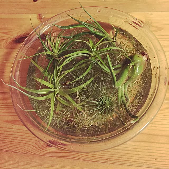 yupponさんの実例写真