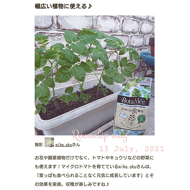 miho.okuさんの実例写真