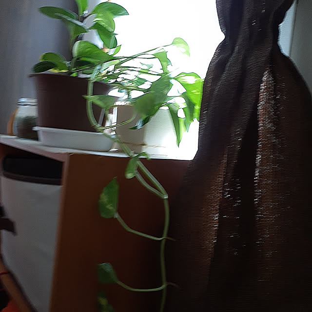 hirowabuta07さんの実例写真