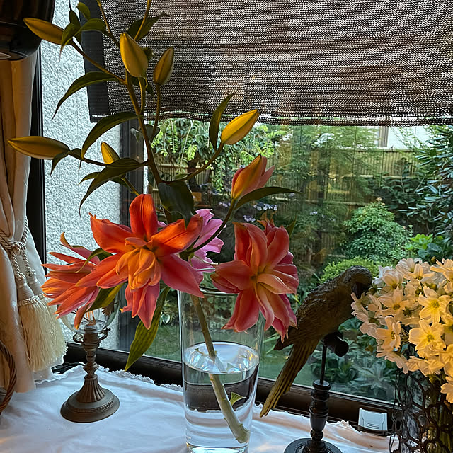 mamizaさんの部屋