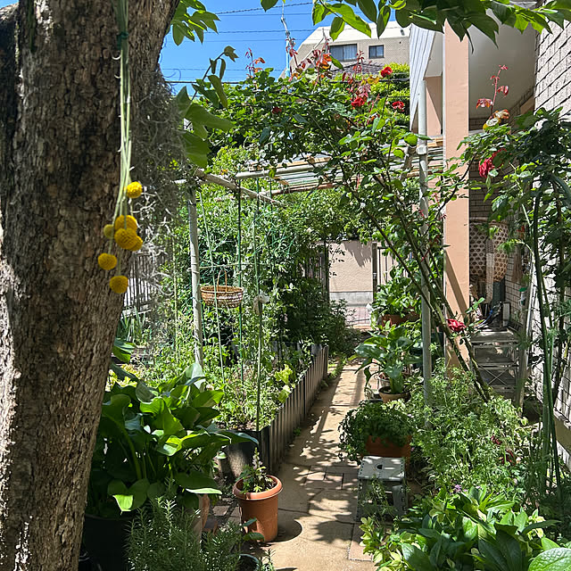 botanさんの部屋