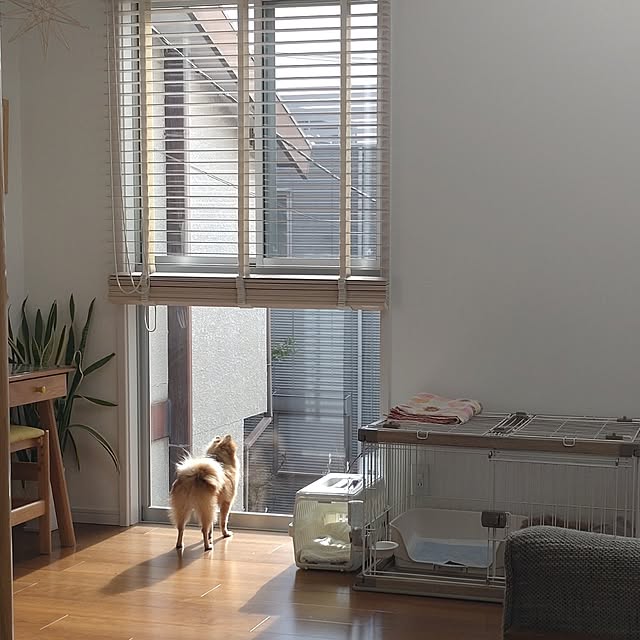 shiokoさんの部屋