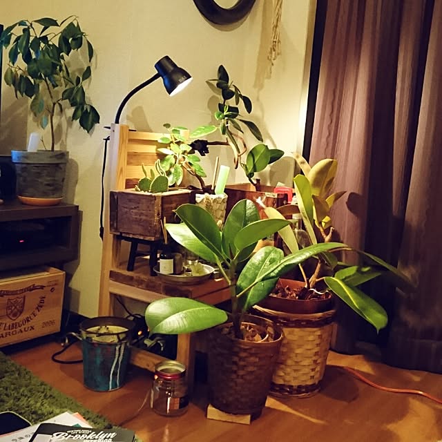 rrikiyさんの実例写真