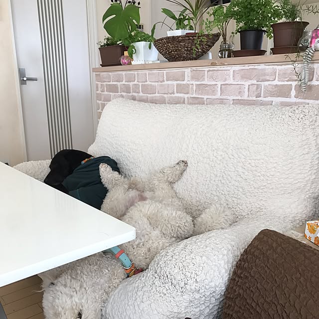tetoさんの実例写真