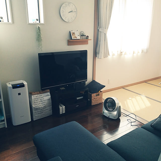 リビング/エアプランツ/エアープランツ/みどりのある暮らし/無印良品 壁に付けられる家具...などのインテリア実例 - 2019-05-24 15:55:43