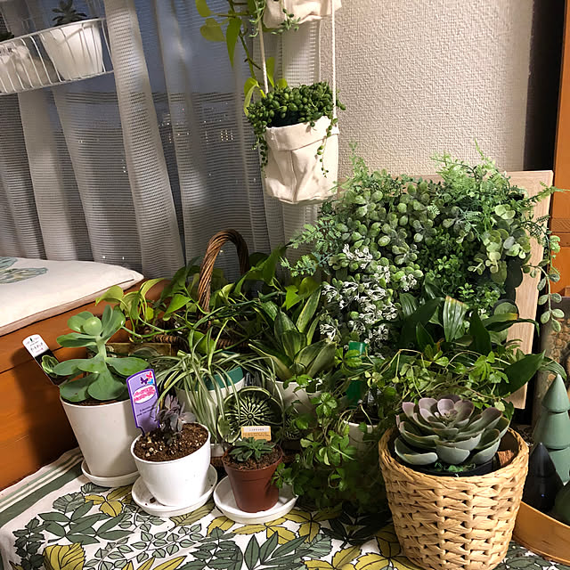 uchidaizuさんの実例写真