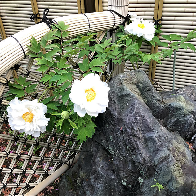 tkin5432さんの実例写真