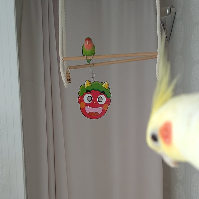 toratanさんの部屋