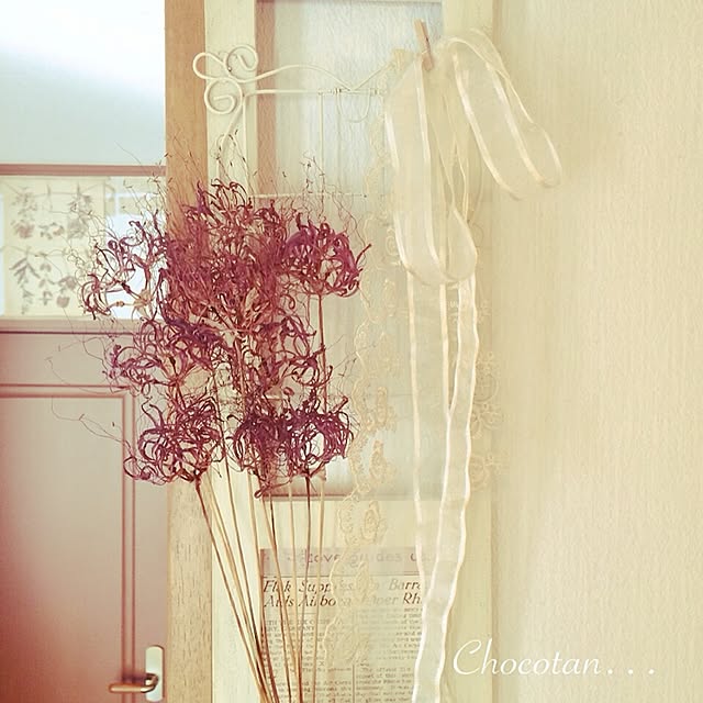 choco_tanさんの実例写真