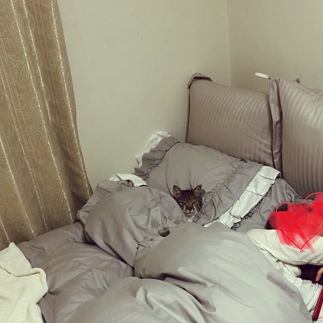 nnmmさんの実例写真