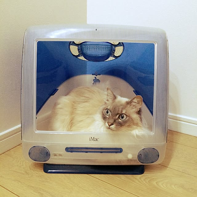 32さんの実例写真