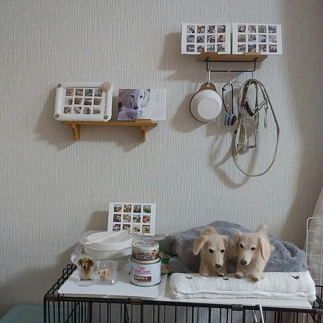 hitomiさんの実例写真