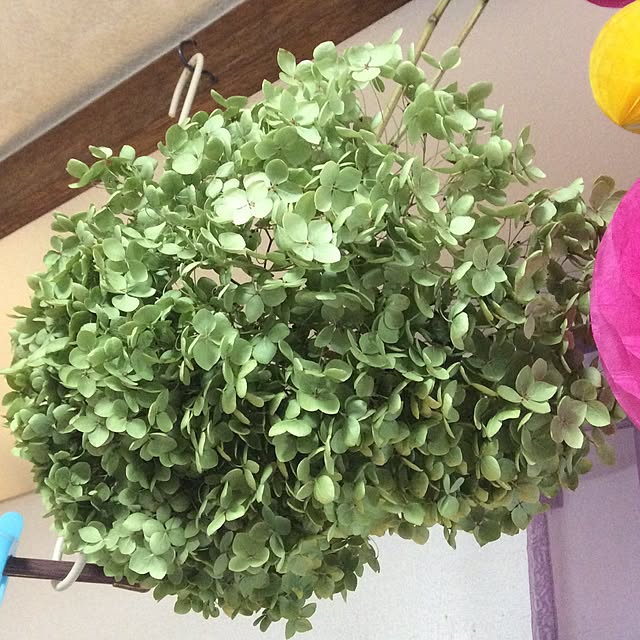 DADAさんの実例写真