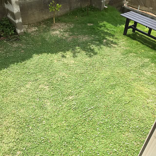 kana_homeさんの実例写真
