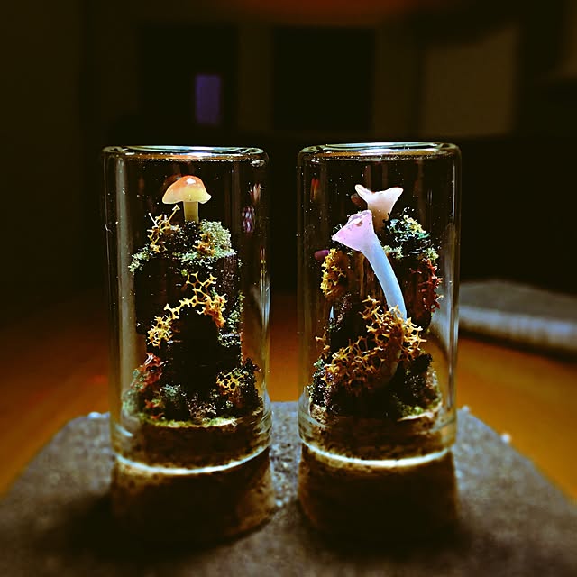 ramuchop3000さんの実例写真