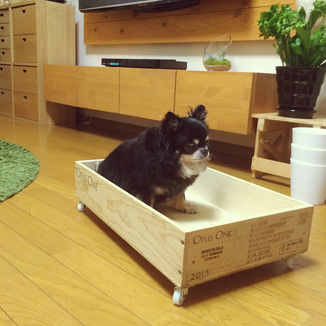 yukaさんの実例写真