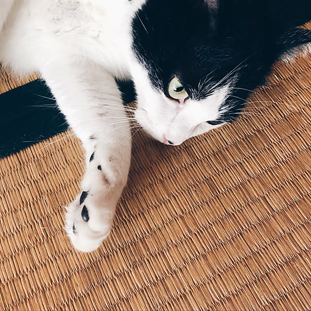 zumi08xxさんの実例写真