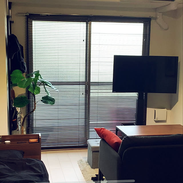takenok053さんの実例写真