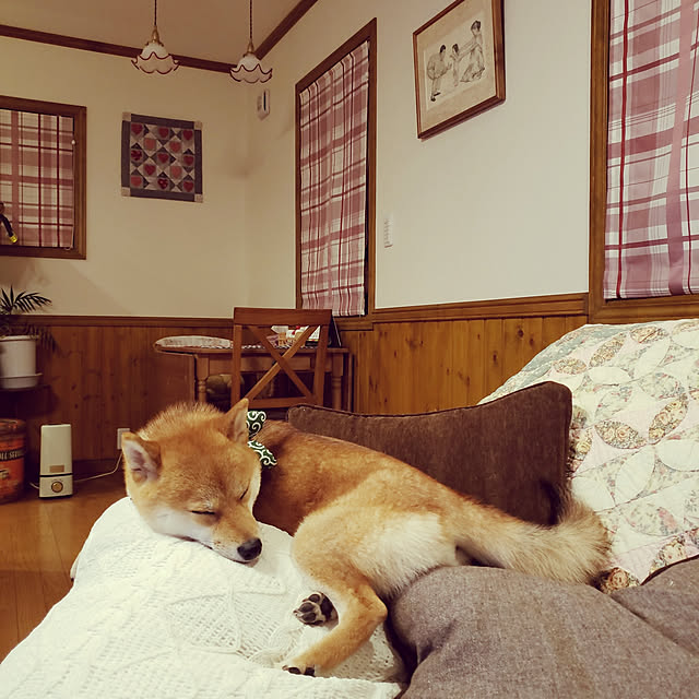 17piyoさんの実例写真