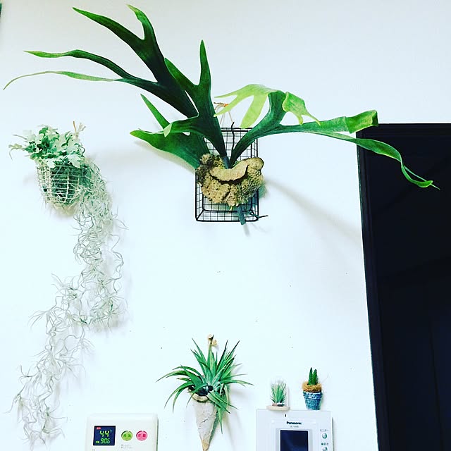 green8さんの実例写真