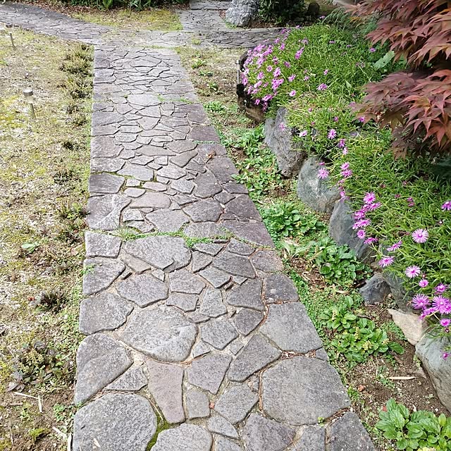 kuririnmamaさんの部屋