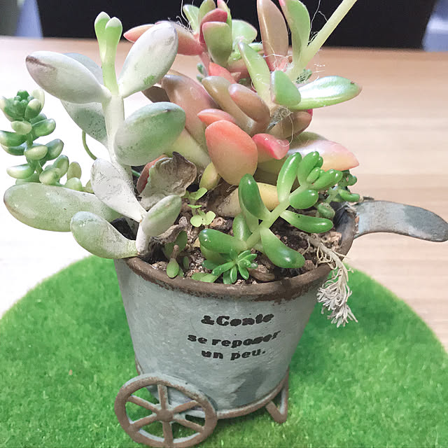 HANAさんの実例写真