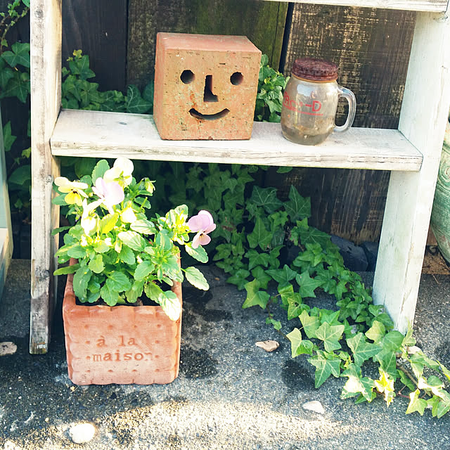 yoshieさんの実例写真
