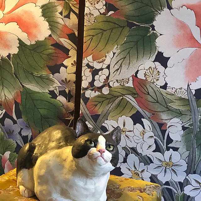 Toruさんの部屋