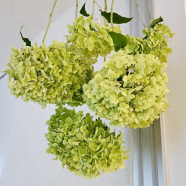 n.aturally_mさんの実例写真