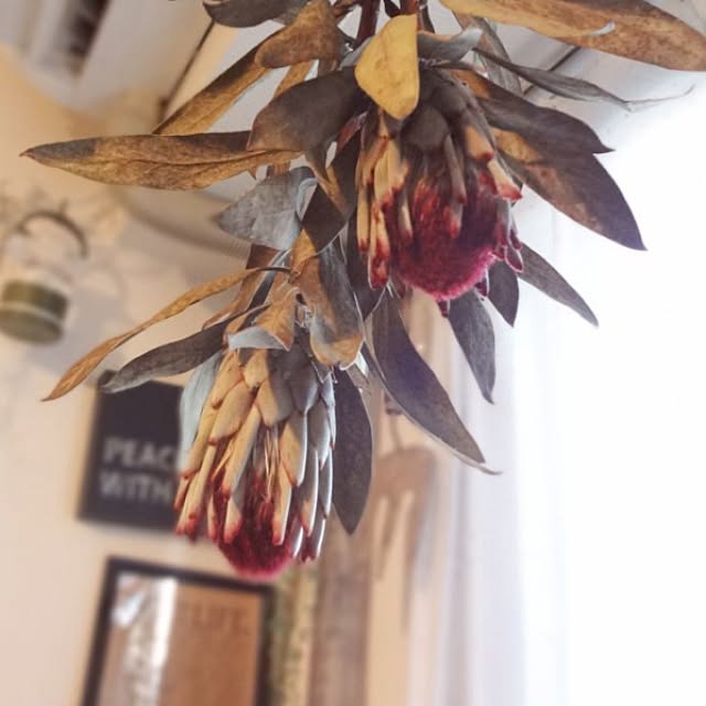 oririnさんの実例写真