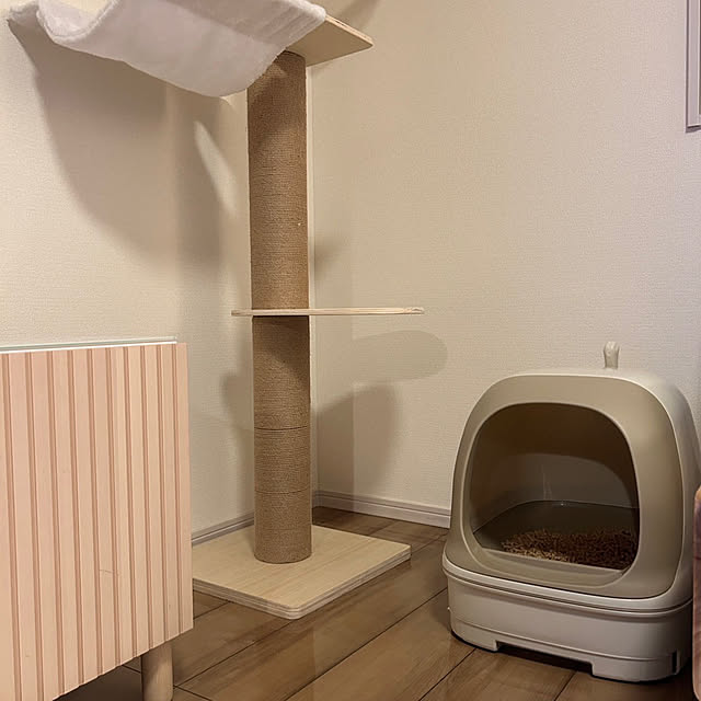 Akiさんの実例写真