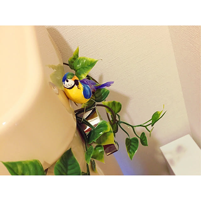 arisaさんの実例写真