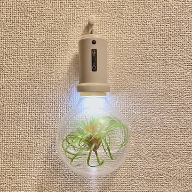 Nachiさんの実例写真