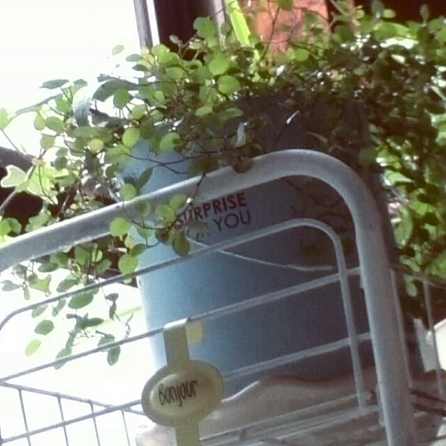 0103_eriさんの実例写真