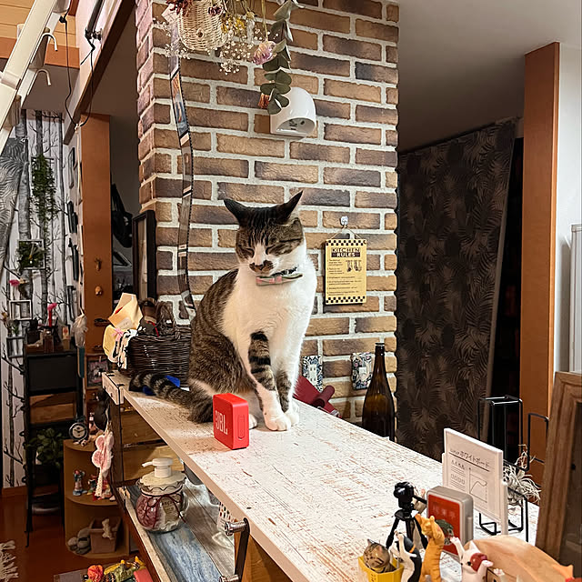 jijiさんの実例写真