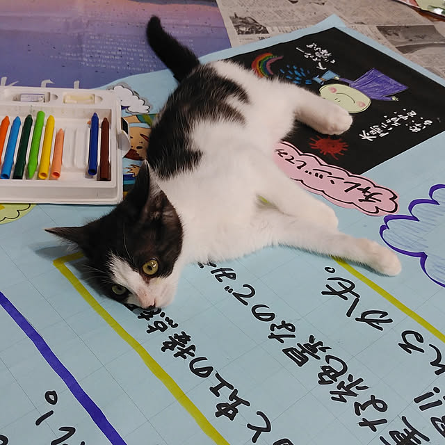 annさんの実例写真